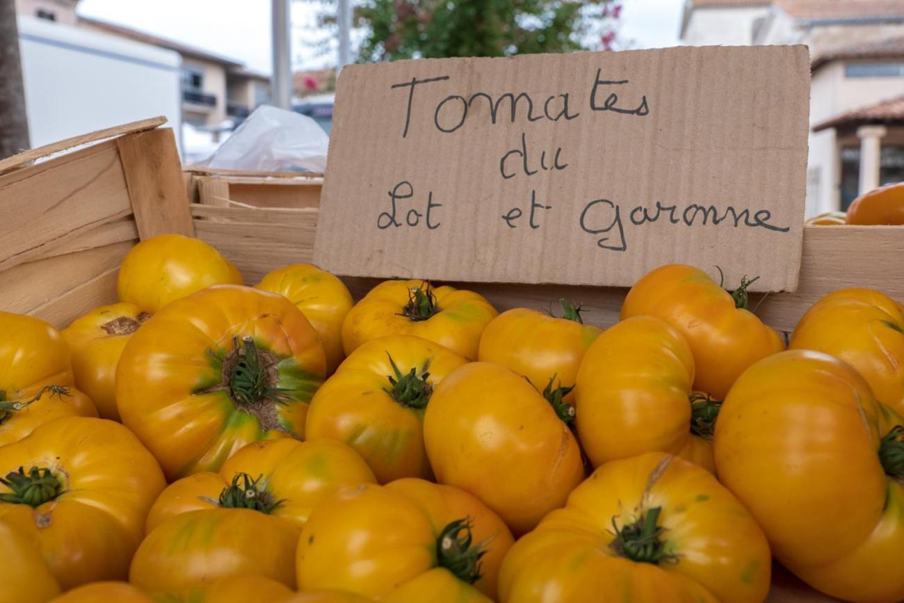 La Maison Duffour Chambres D'Hotes Avec Petit Dejeuner Tonneins Eksteriør billede